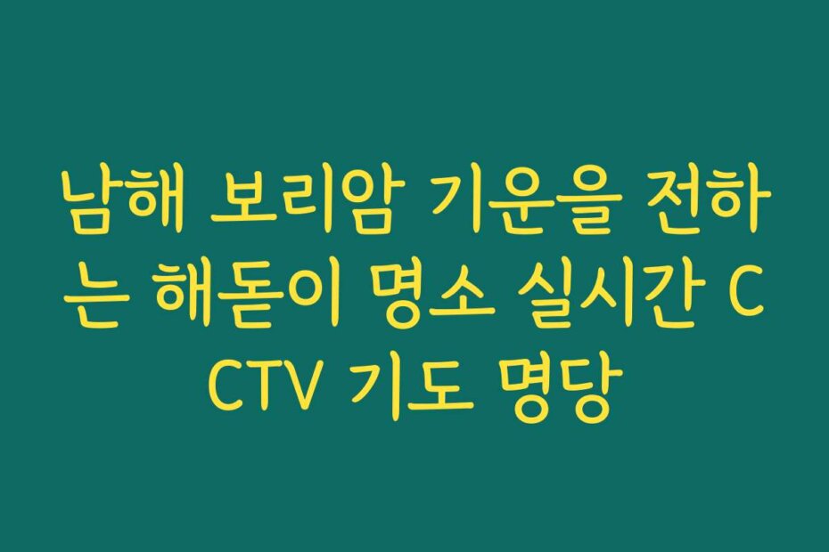남해 보리암 기운을 전하는 해돋이 명소 실시간 CCTV 기도 명당
