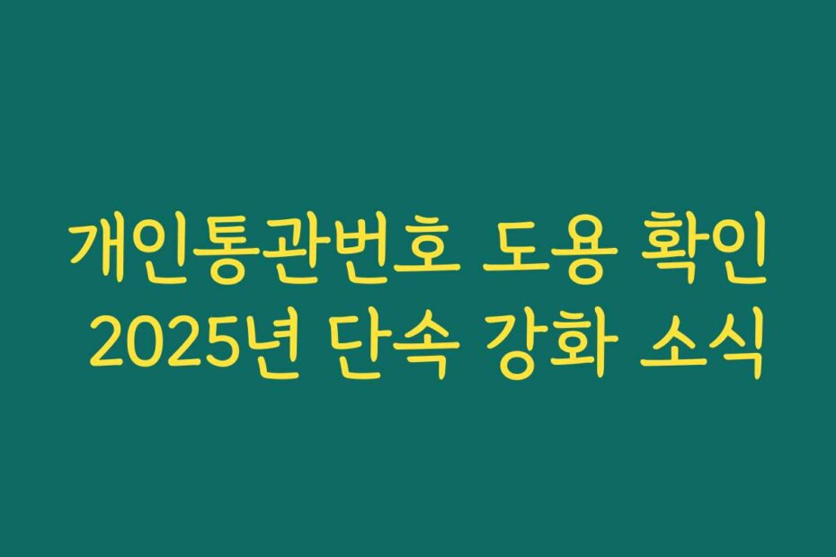 개인통관번호 도용 확인 2025년 단속 강화 소식