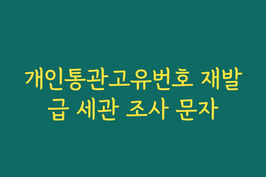 개인통관고유번호 재발급 세관 조사 문자