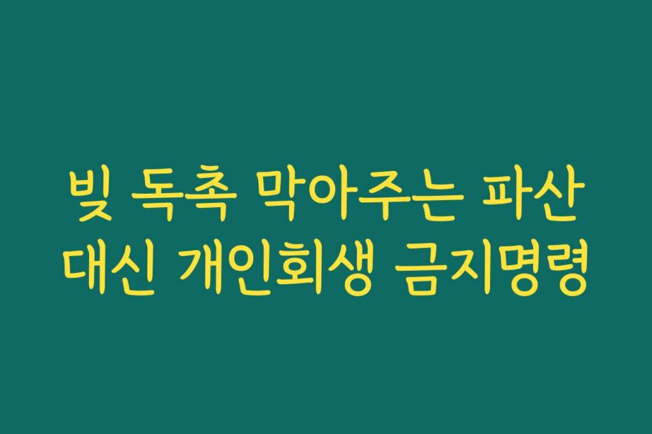 빚 독촉 막아주는 파산대신 개인회생 금지명령
