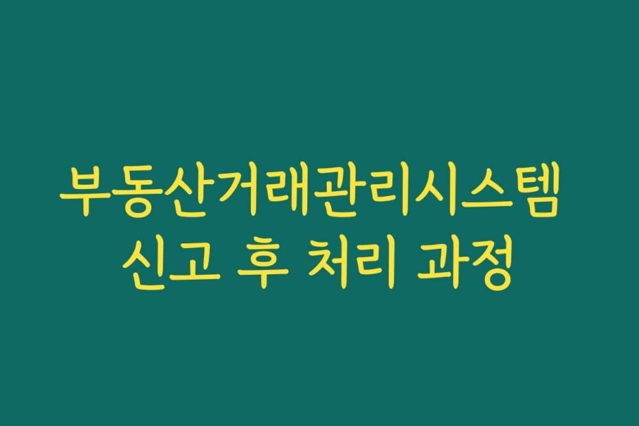 부동산거래관리시스템 신고 후 처리 과정
