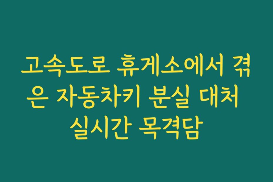 고속도로 휴게소에서 겪은 자동차키 분실 대처 실시간 목격담