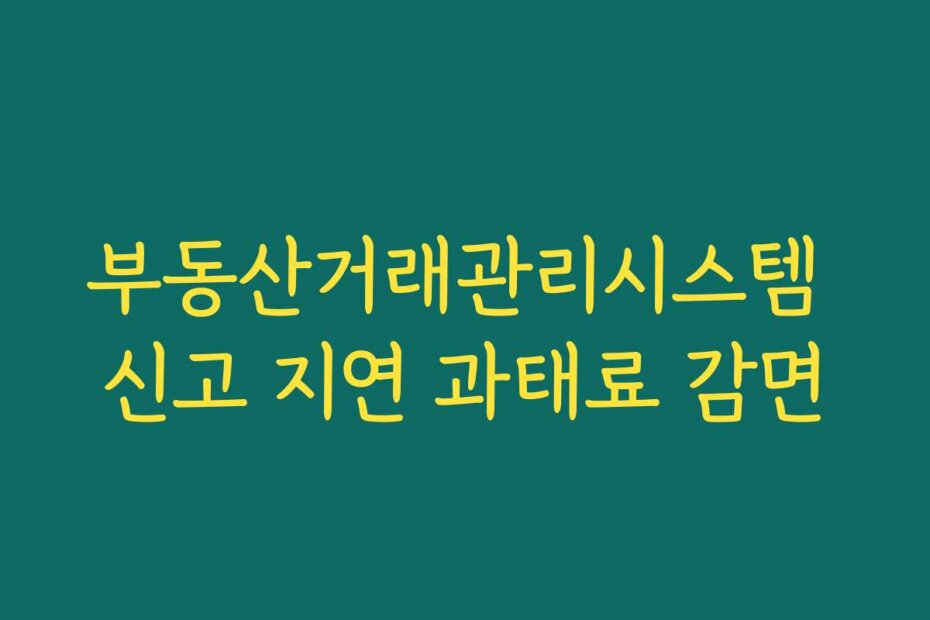 부동산거래관리시스템 신고 지연 과태료 감면