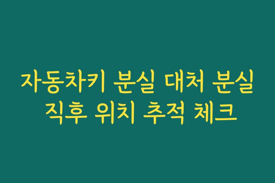 자동차키 분실 대처 분실 직후 위치 추적 체크