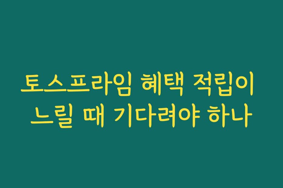 토스프라임 혜택 적립이 느릴 때 기다려야 하나