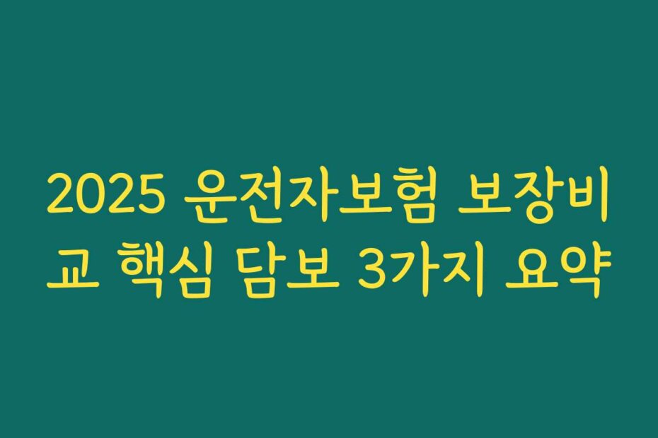 2025 운전자보험 보장비교 핵심 담보 3가지 요약