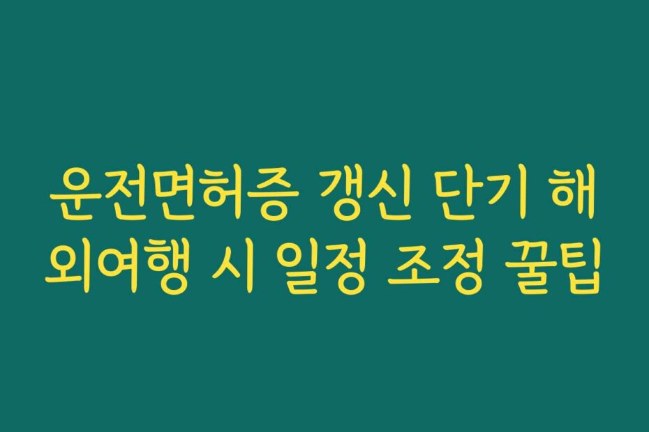운전면허증 갱신 단기 해외여행 시 일정 조정 꿀팁