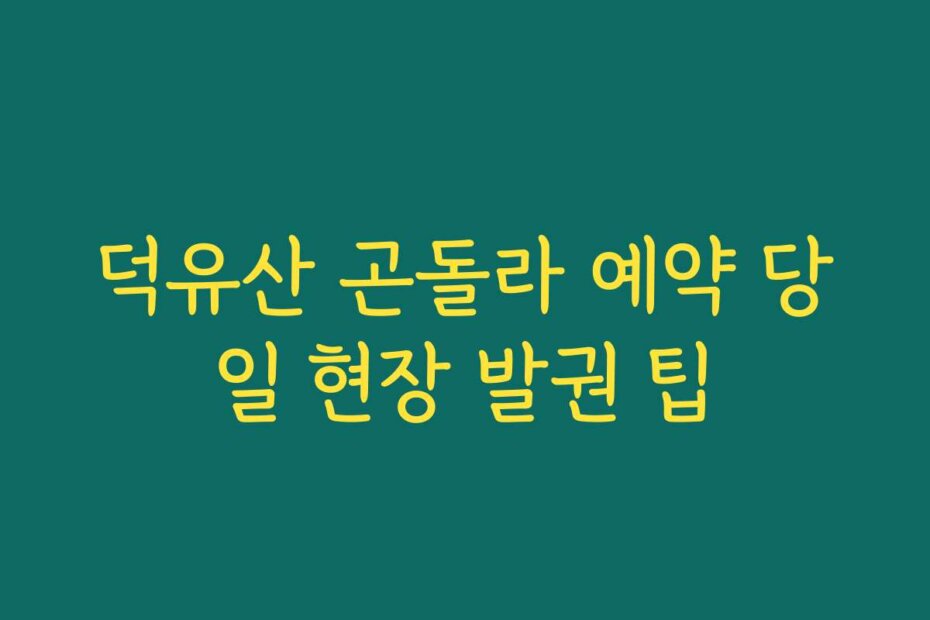 덕유산 곤돌라 예약 당일 현장 발권 팁