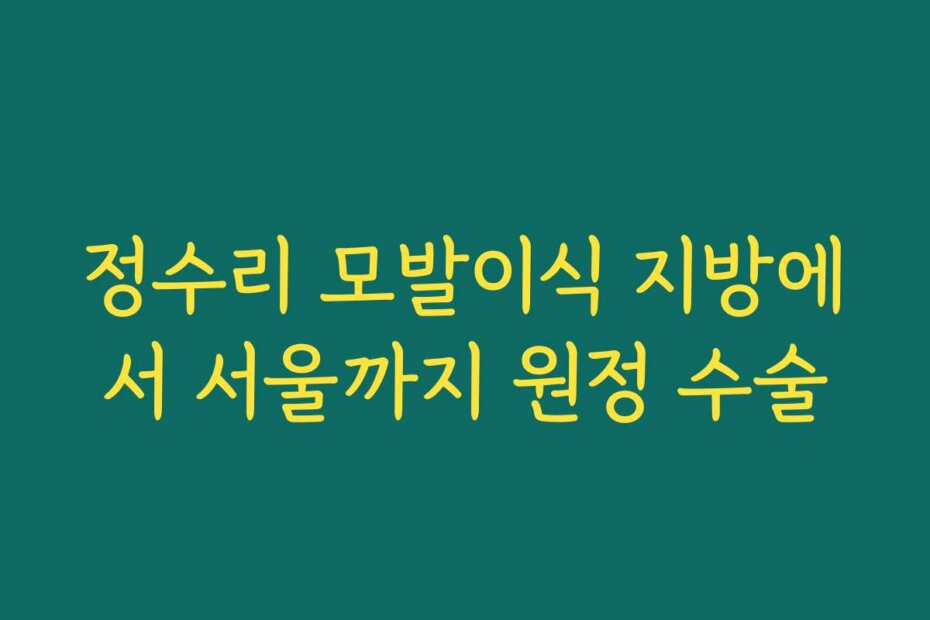 정수리 모발이식 지방에서 서울까지 원정 수술