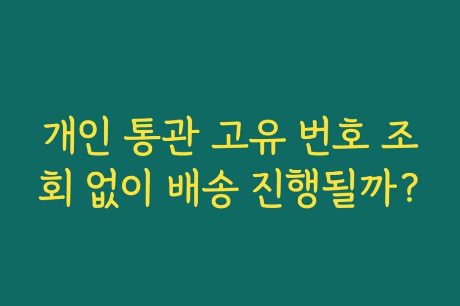 개인 통관 고유 번호 조회 없이 배송 진행될까?