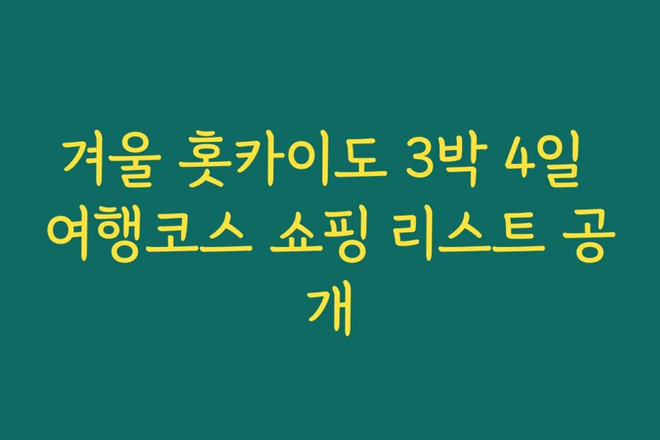 겨울 홋카이도 3박 4일 여행코스 쇼핑 리스트 공개