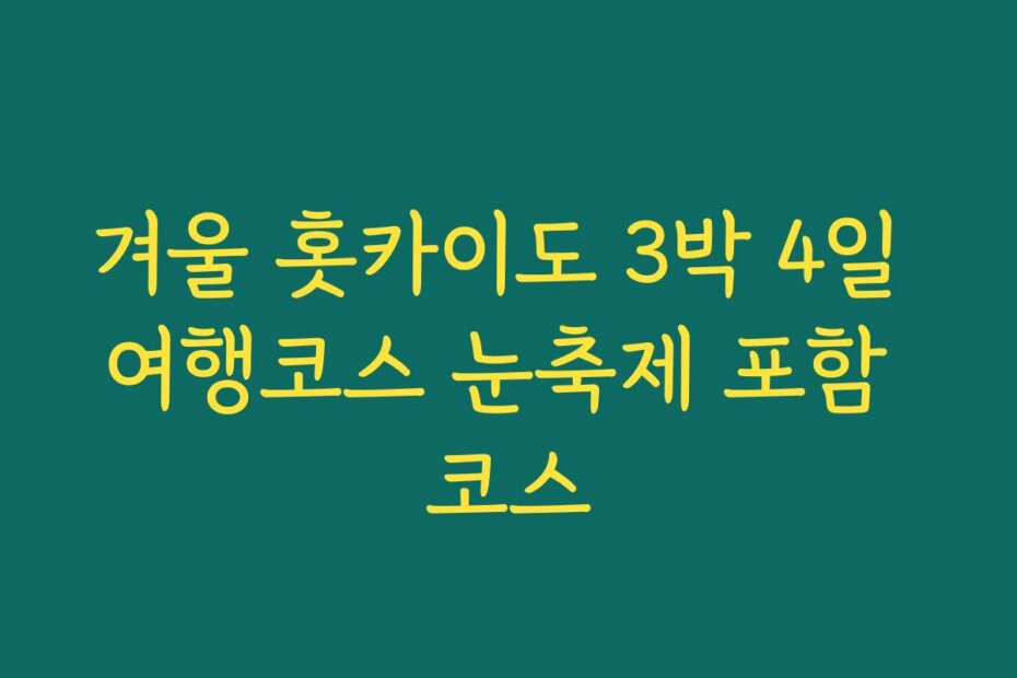 겨울 홋카이도 3박 4일 여행코스 눈축제 포함 코스
