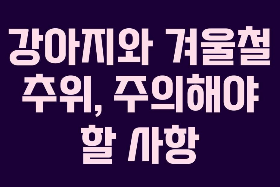 강아지와 겨울철 추위, 주의해야 할 사항