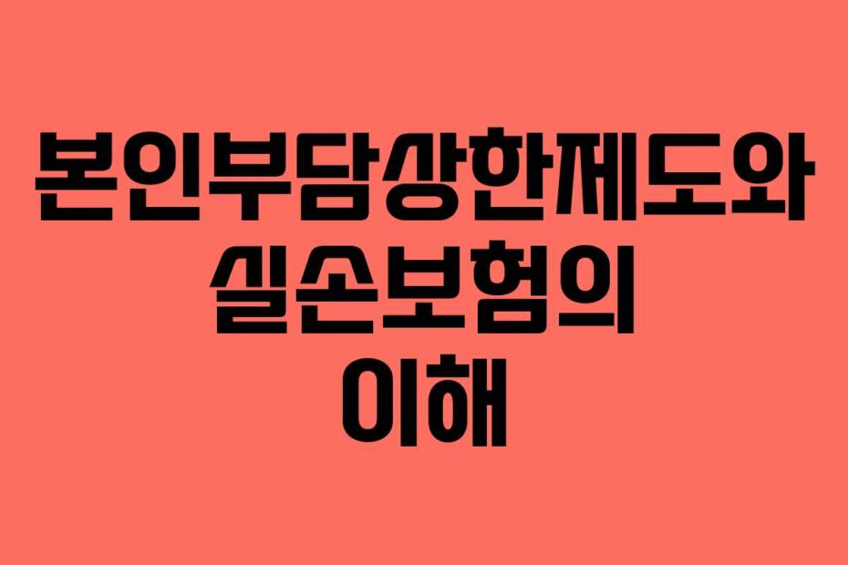 본인부담상한제도와 실손보험의 이해