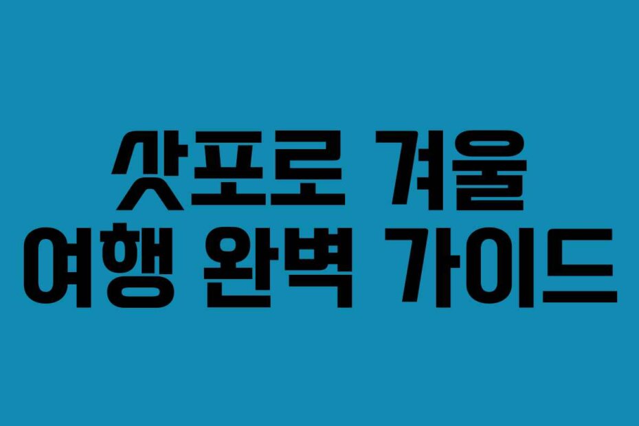 삿포로 겨울 여행 완벽 가이드