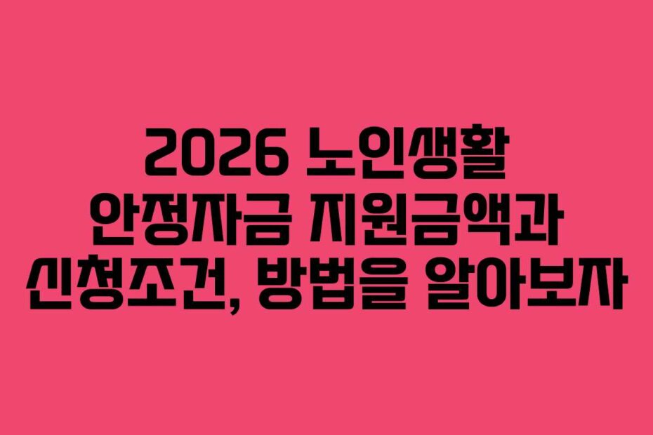 2026 노인생활 안정자금 지원금액과 신청조건, 방법을 알아보자