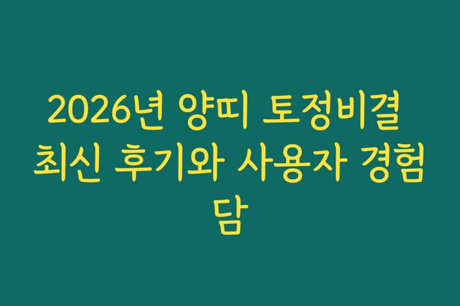 2026년 양띠 토정비결 최신 후기와 사용자 경험담
