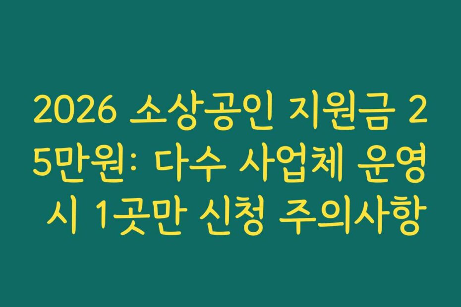 2026 소상공인 지원금 25만원: 다수 사업체 운영 시 1곳만 신청 주의사항