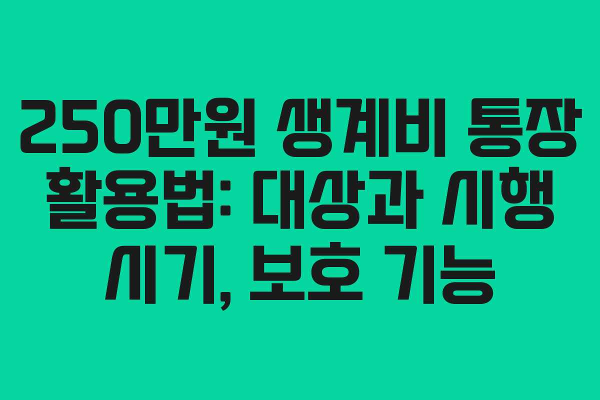 250만원 생계비 통장 활용법: 대상과 시행 시기, 보호 기능