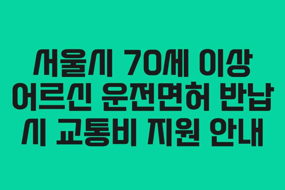서울시 70세 이상 어르신 운전면허 반납 시 교통비 지원 안내