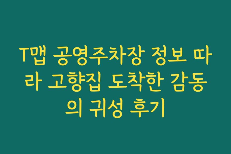 T맵 공영주차장 정보 따라 고향집 도착한 감동의 귀성 후기