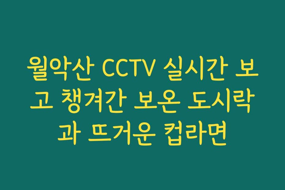 월악산 CCTV 실시간 보고 챙겨간 보온 도시락과 뜨거운 컵라면