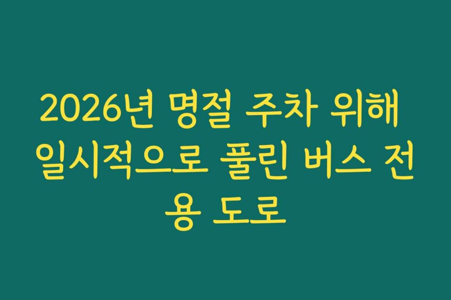 2026년 명절 주차 위해 일시적으로 풀린 버스 전용 도로