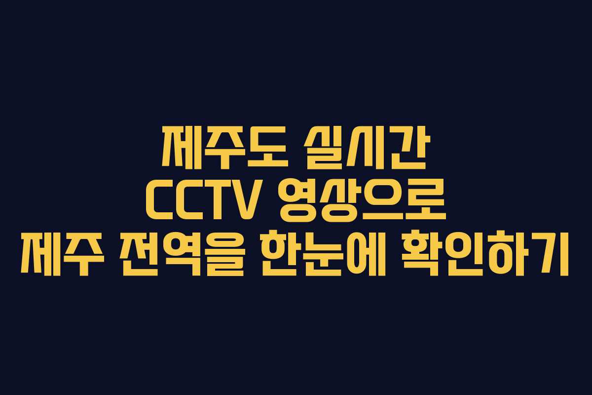 제주도 실시간 CCTV 영상으로 제주 전역을 한눈에 확인하기