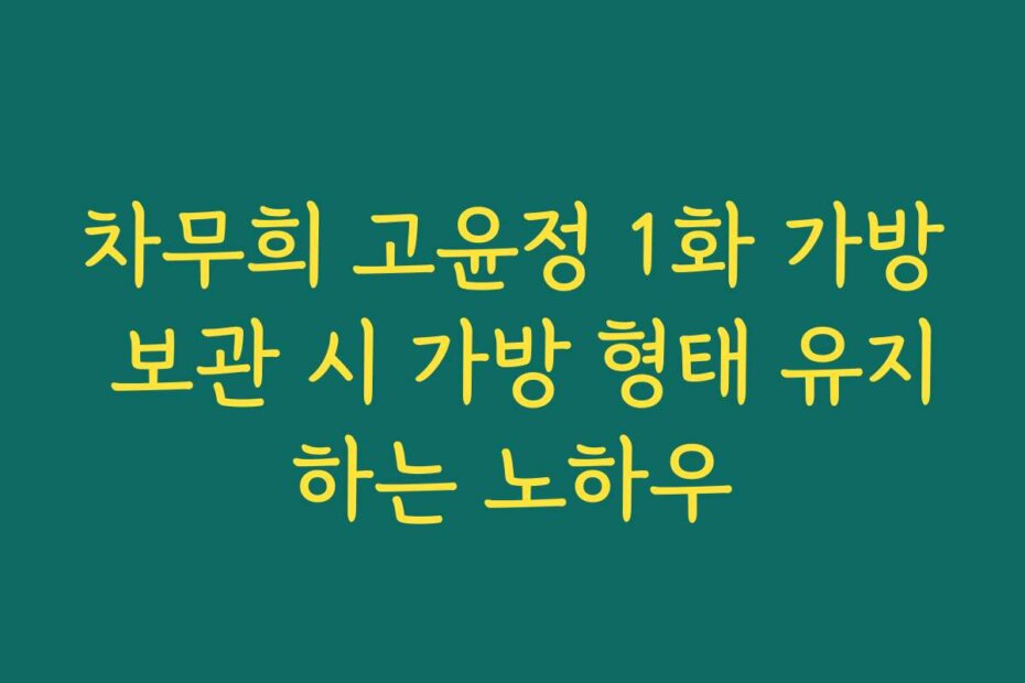 차무희 고윤정 1화 가방 보관 시 가방 형태 유지하는 노하우