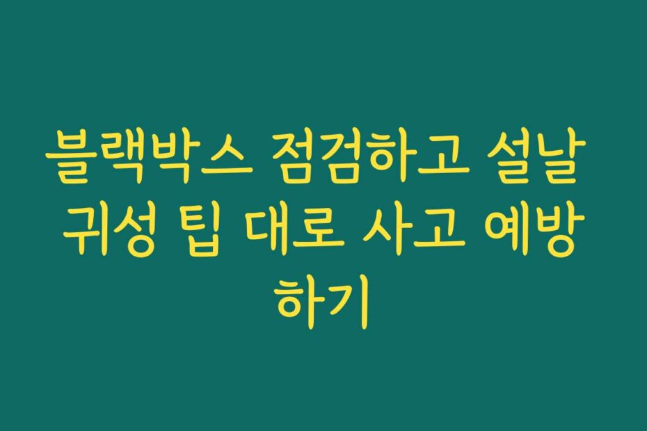 블랙박스 점검하고 설날 귀성 팁 대로 사고 예방하기