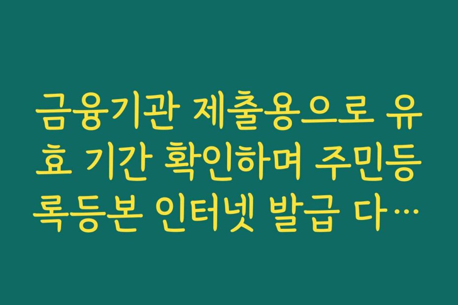 금융기관 제출용으로 유효 기간 확인하며 주민등록등본 인터넷 발급 다시 하기