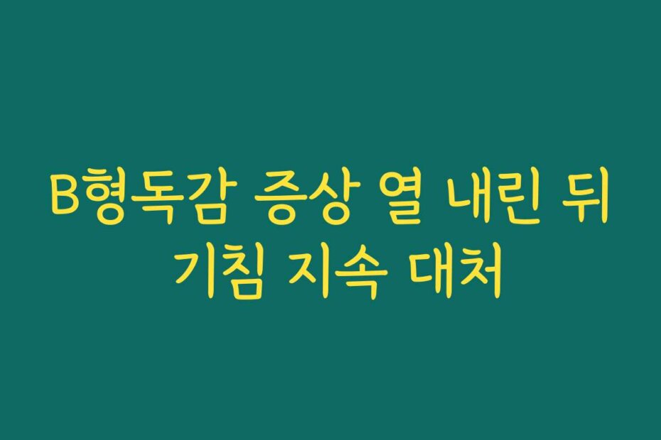 B형독감 증상 열 내린 뒤 기침 지속 대처