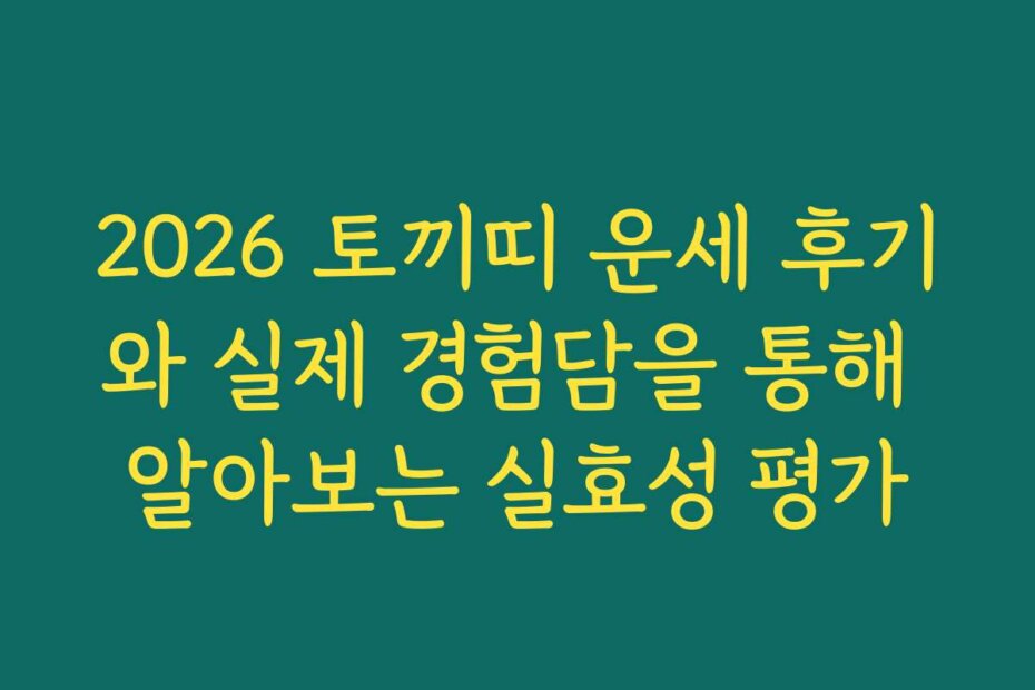 2026 토끼띠 운세 후기와 실제 경험담을 통해 알아보는 실효성 평가