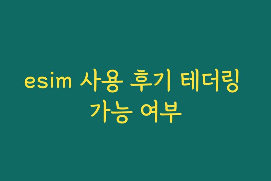 esim 사용 후기 테더링 가능 여부