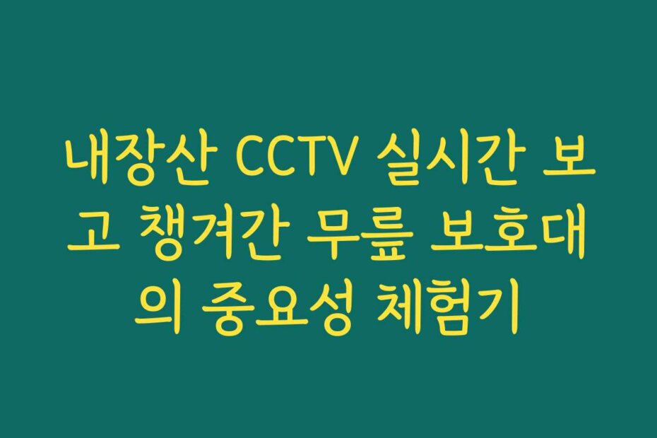 내장산 CCTV 실시간 보고 챙겨간 무릎 보호대의 중요성 체험기