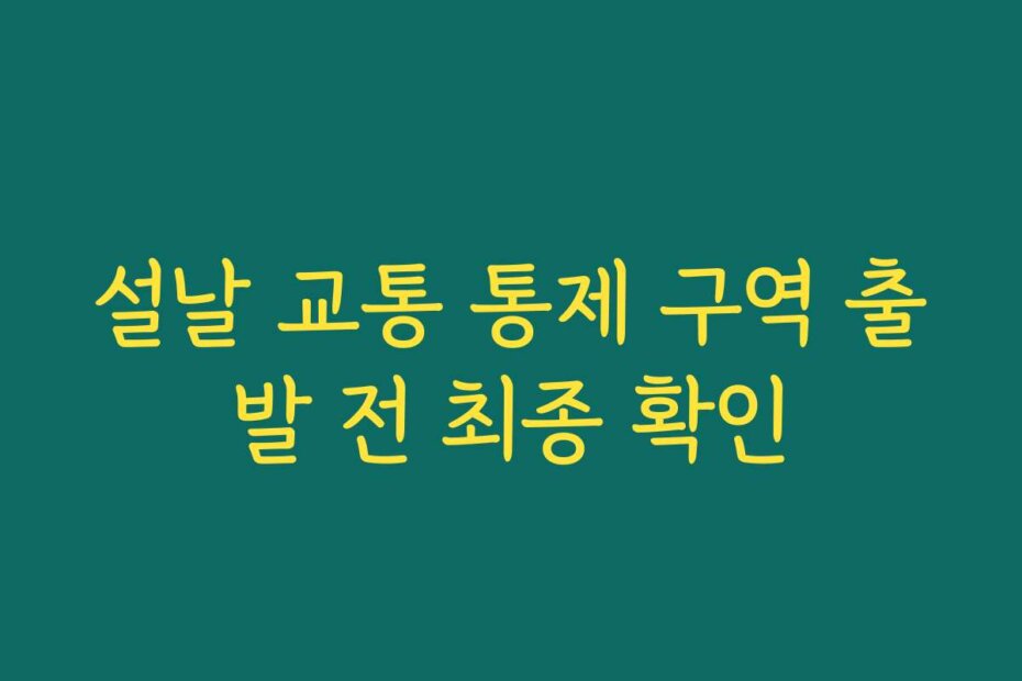 설날 교통 통제 구역 출발 전 최종 확인