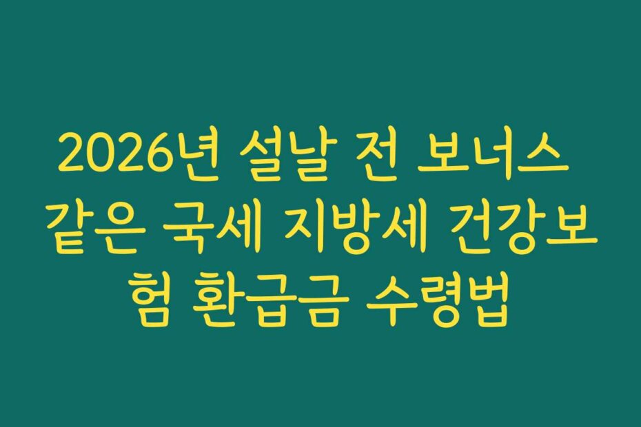 2026년 설날 전 보너스 같은 국세 지방세 건강보험 환급금 수령법