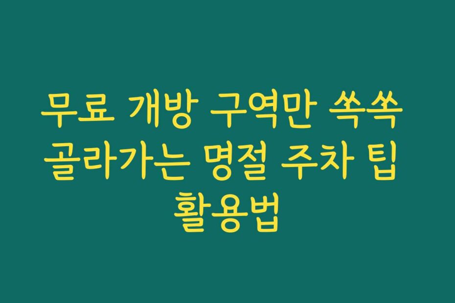 무료 개방 구역만 쏙쏙 골라가는 명절 주차 팁 활용법