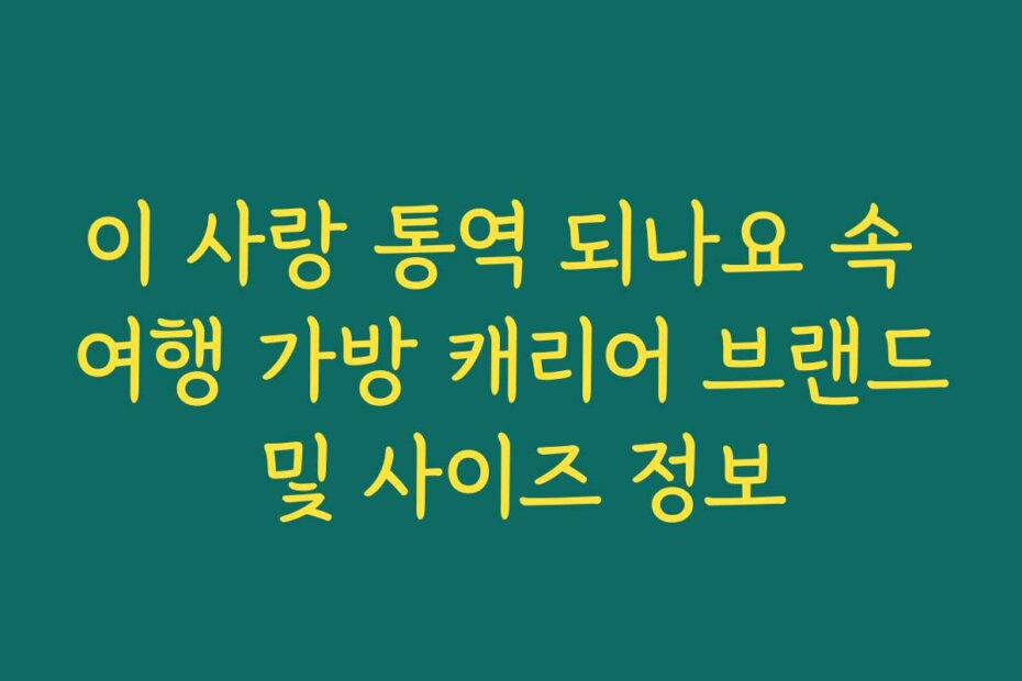 이 사랑 통역 되나요 속 여행 가방 캐리어 브랜드 및 사이즈 정보