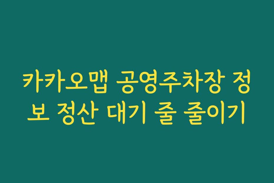 카카오맵 공영주차장 정보 정산 대기 줄 줄이기