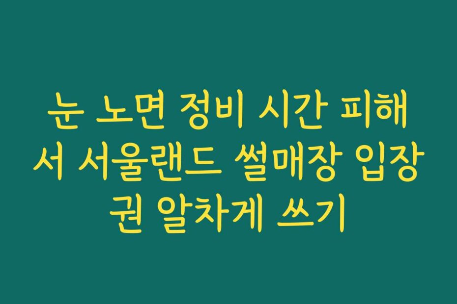 눈 노면 정비 시간 피해서 서울랜드 썰매장 입장권 알차게 쓰기