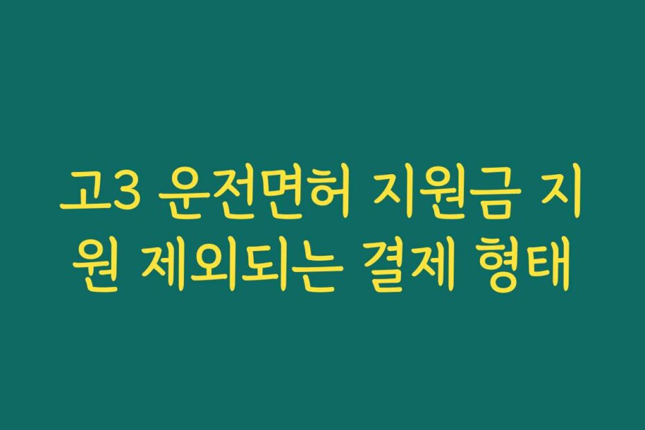 고3 운전면허 지원금 지원 제외되는 결제 형태