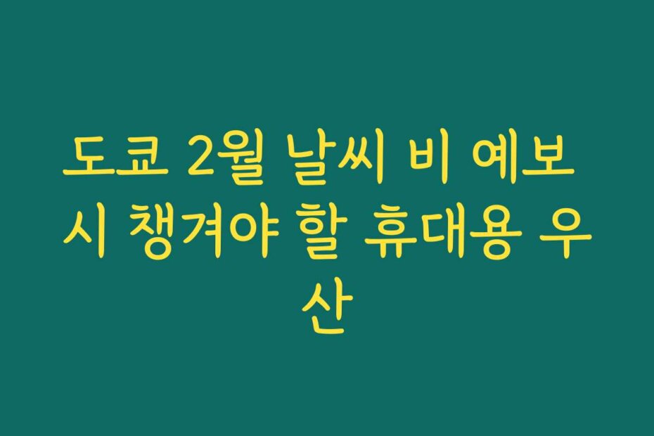 도쿄 2월 날씨 비 예보 시 챙겨야 할 휴대용 우산