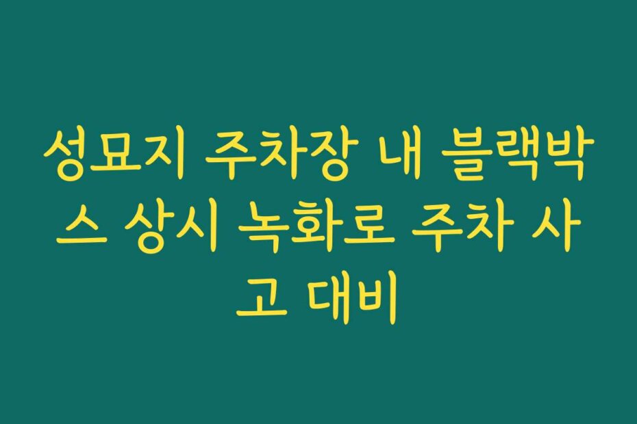 성묘지 주차장 내 블랙박스 상시 녹화로 주차 사고 대비