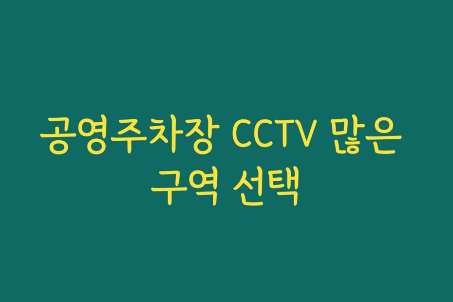 공영주차장 CCTV 많은 구역 선택