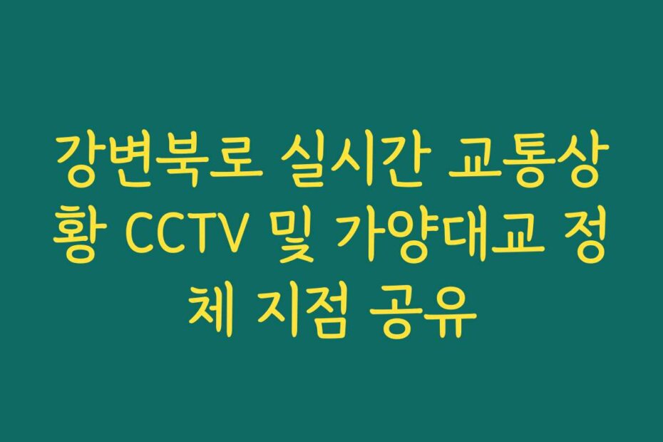 강변북로 실시간 교통상황 CCTV 및 가양대교 정체 지점 공유