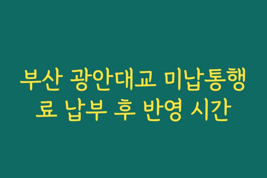 부산 광안대교 미납통행료 납부 후 반영 시간