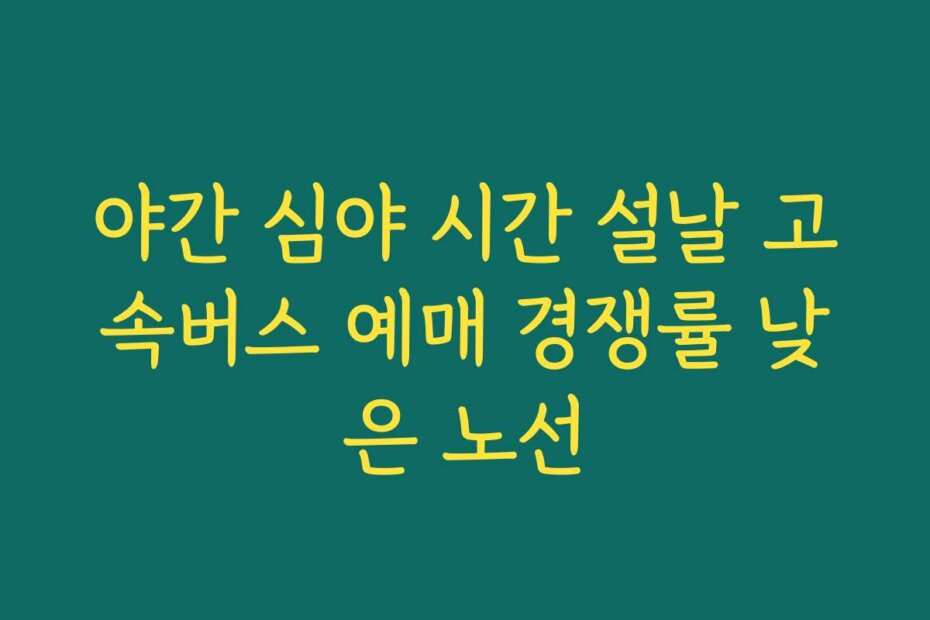 야간 심야 시간 설날 고속버스 예매 경쟁률 낮은 노선