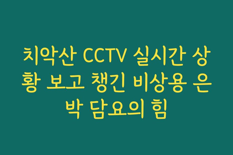 치악산 CCTV 실시간 상황 보고 챙긴 비상용 은박 담요의 힘