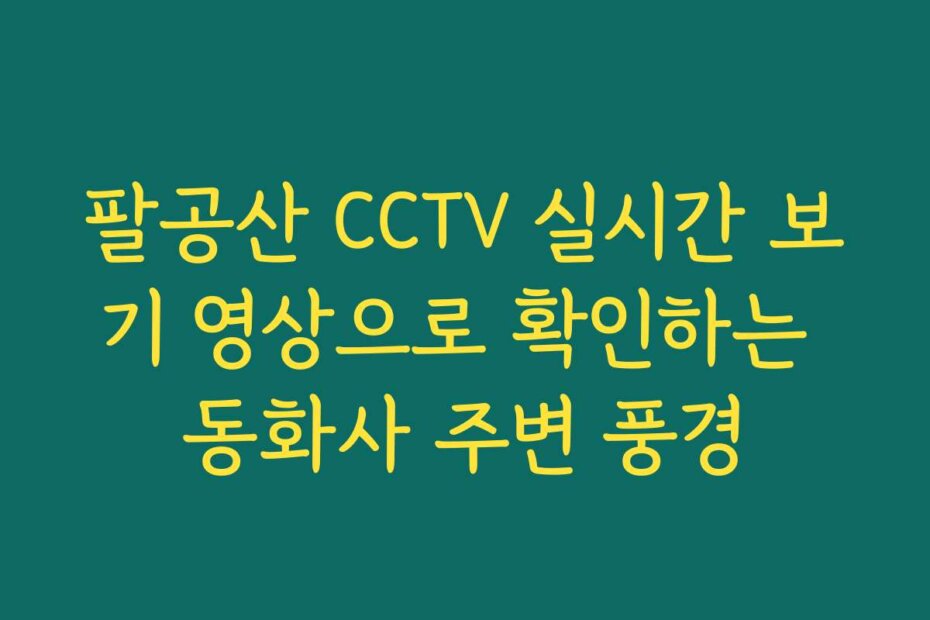 팔공산 CCTV 실시간 보기 영상으로 확인하는 동화사 주변 풍경